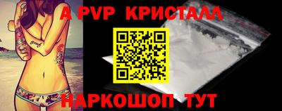 шишки Изобильный