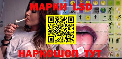 шишки Изобильный