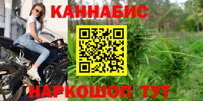 шишки Изобильный