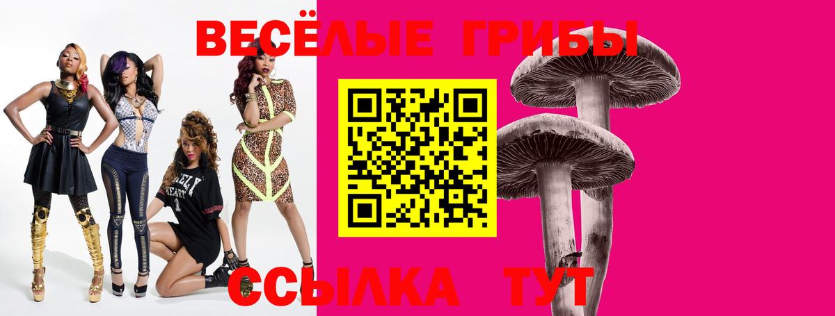 Кувандык  Псилоцибиновые грибы Magic Shrooms  Вход с VPN 